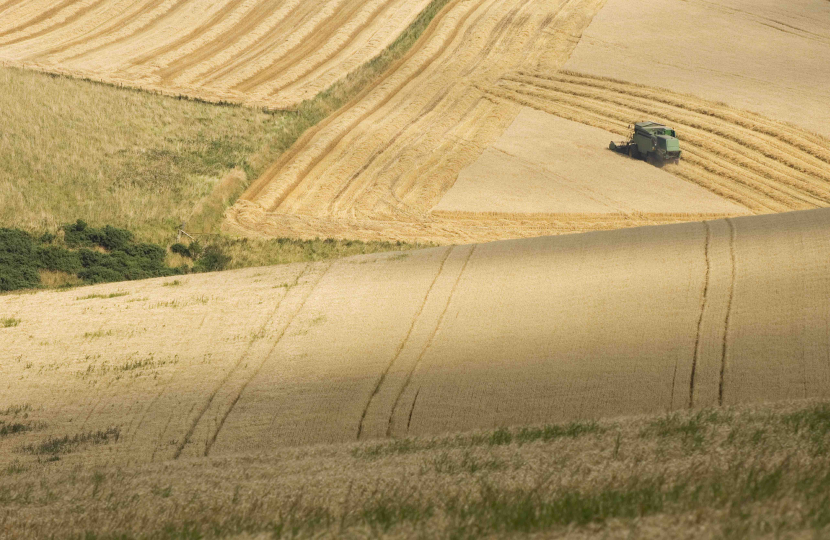 Scotland's Food Future