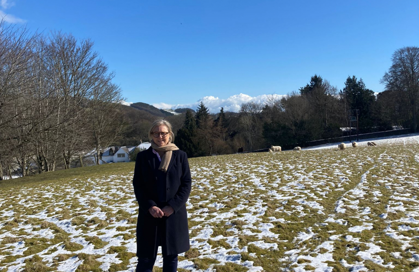 Rachael Hamilton MSP at sheep farm