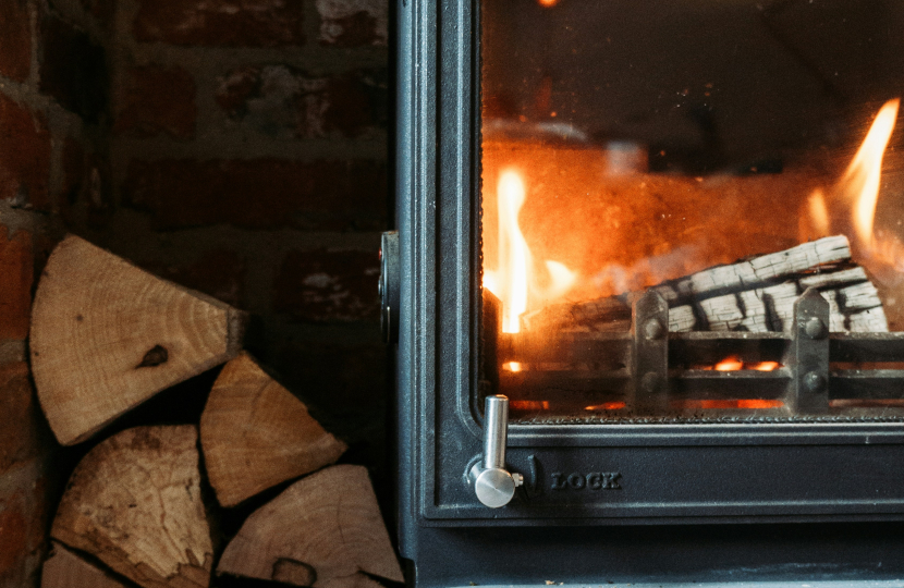 wood burning stove