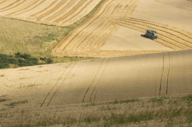 Scotland's Food Future